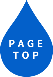 PAGE TOP